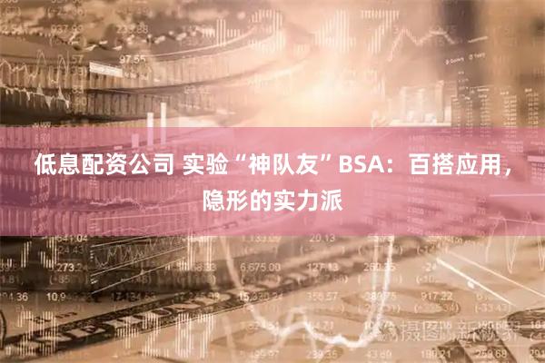 低息配资公司 实验“神队友”BSA：百搭应用，隐形的实力派