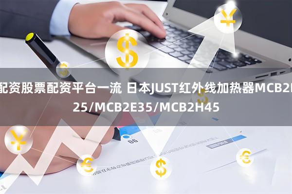 配资股票配资平台一流 日本JUST红外线加热器MCB2F25/MCB2E35/MCB2H45