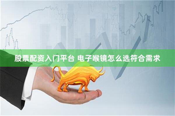 股票配资入门平台 电子喉镜怎么选符合需求